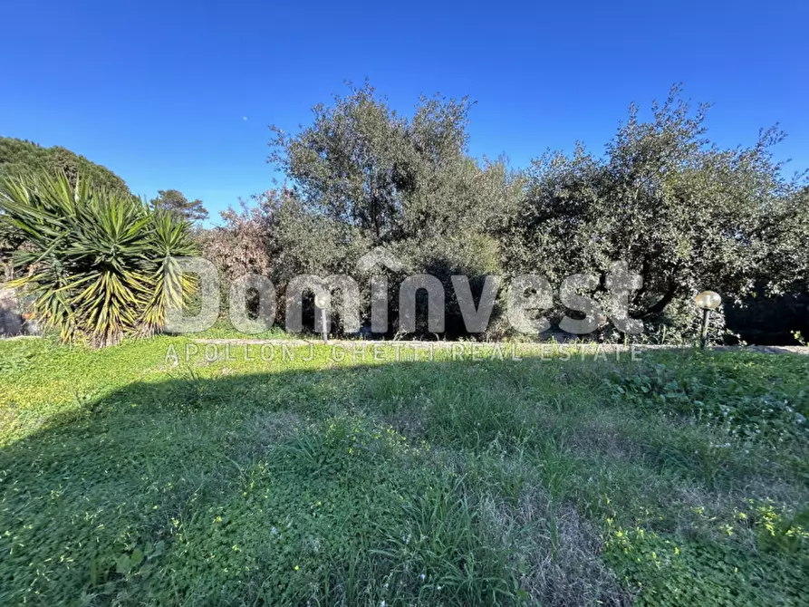 Immagine 21 di Villa in vendita  in STRADA DELLA TAGLIATA a Orbetello