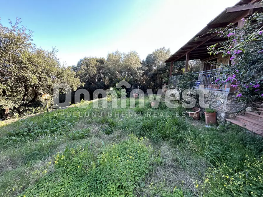 Immagine 22 di Villa in vendita  in STRADA DELLA TAGLIATA a Orbetello