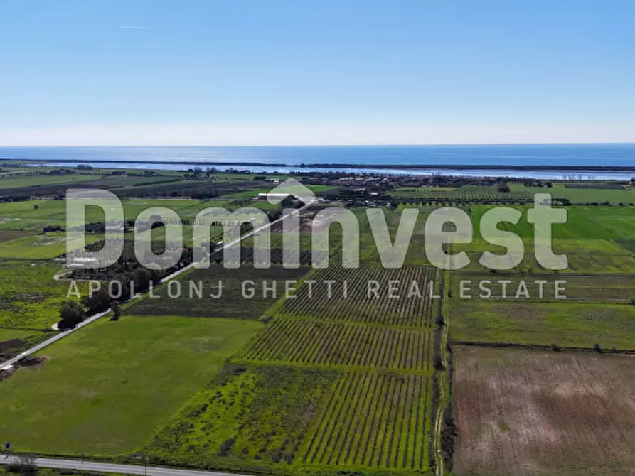 Immagine 2 di Rustico / casale in vendita  in Sp Val Marina a Capalbio