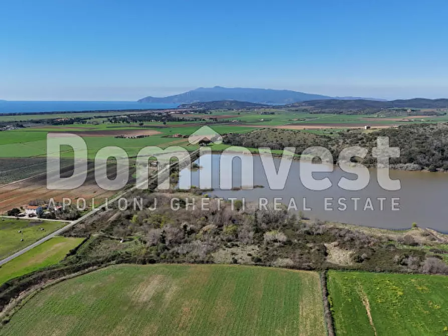 Immagine 3 di Rustico / casale in vendita  in Sp Val Marina a Capalbio