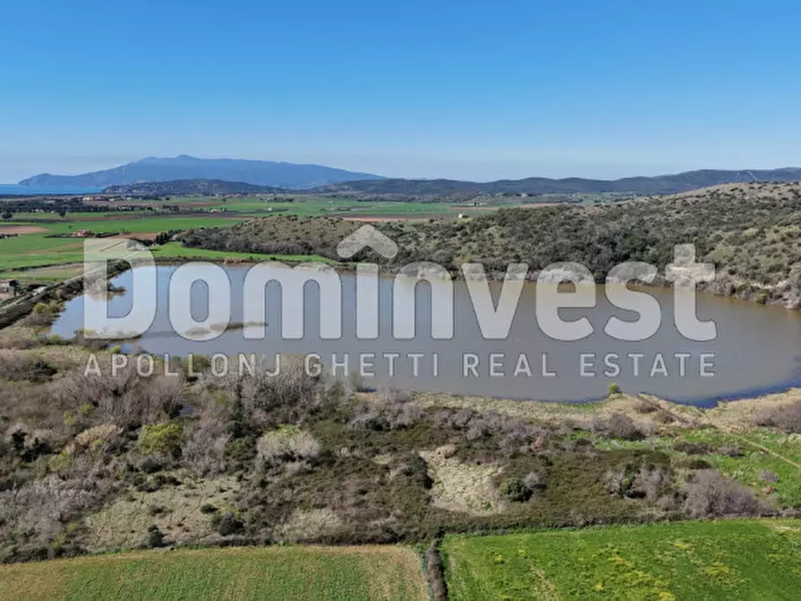 Immagine 4 di Rustico / casale in vendita  in Sp Val Marina a Capalbio