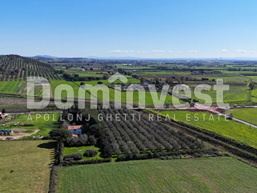 Immagine 5 di Rustico / casale in vendita  in Sp Val Marina a Capalbio