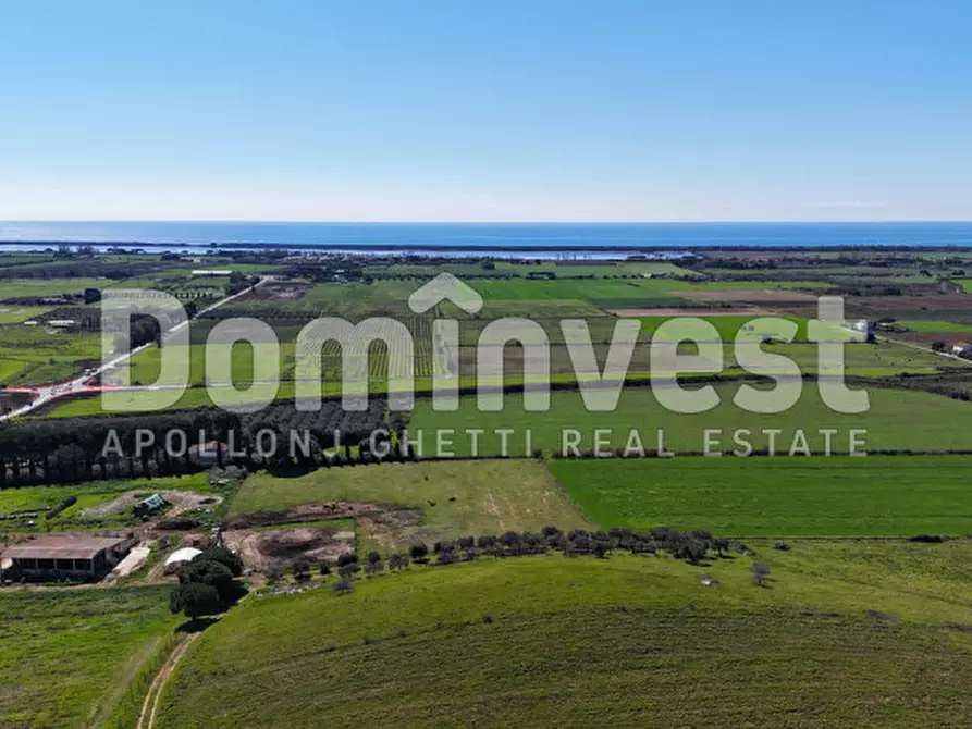 Immagine 6 di Rustico / casale in vendita  in Sp Val Marina a Capalbio