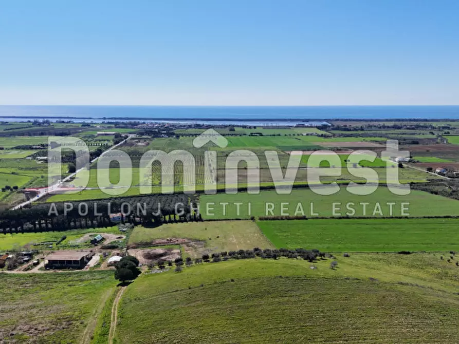 Immagine 7 di Rustico / casale in vendita  in Sp Val Marina a Capalbio