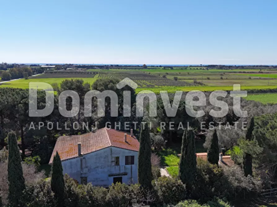 Immagine 8 di Rustico / casale in vendita  in Sp Val Marina a Capalbio