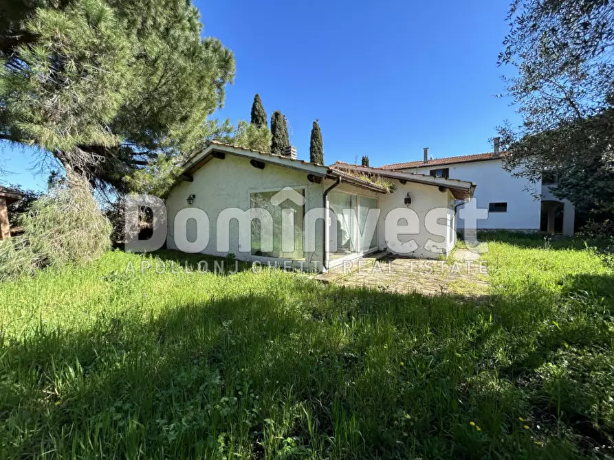 Immagine 16 di Rustico / casale in vendita  in Sp Val Marina a Capalbio