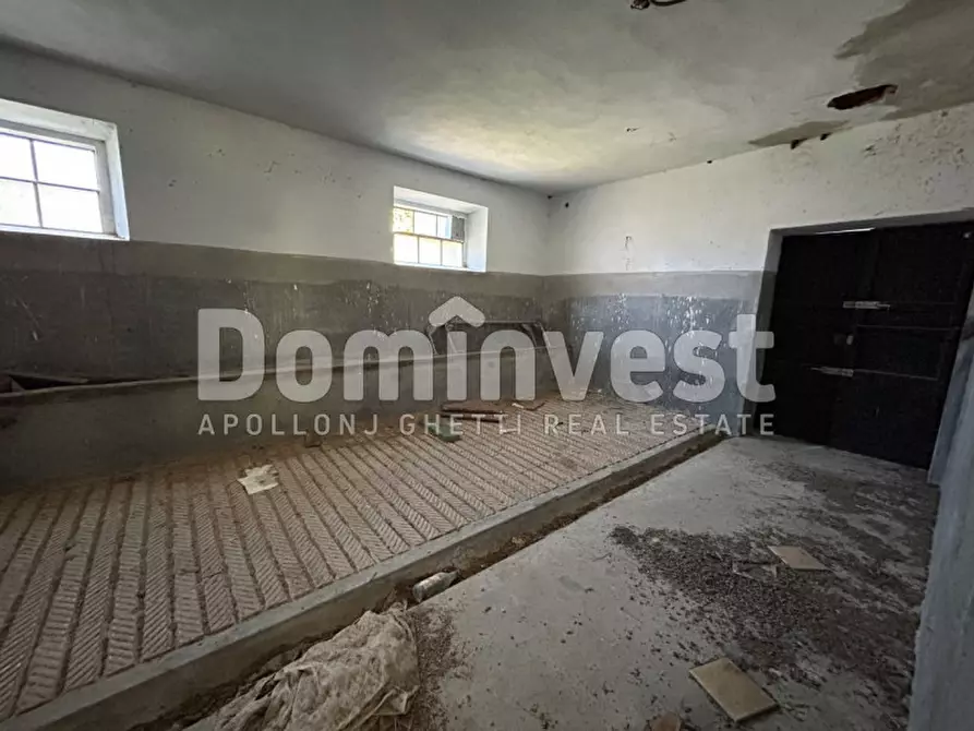 Immagine 19 di Rustico / casale in vendita  in Sp Val Marina a Capalbio