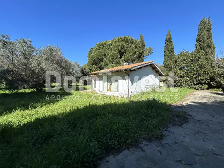 Immagine 20 di Rustico / casale in vendita  in Sp Val Marina a Capalbio