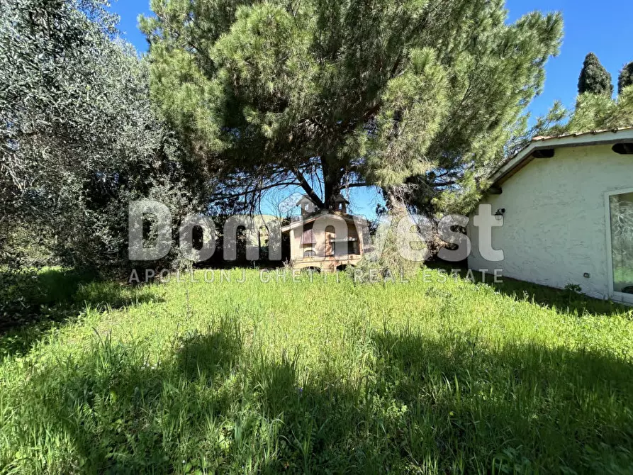 Immagine 21 di Rustico / casale in vendita  in Sp Val Marina a Capalbio