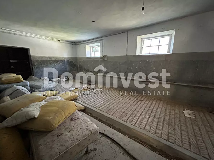 Immagine 24 di Rustico / casale in vendita  in Sp Val Marina a Capalbio