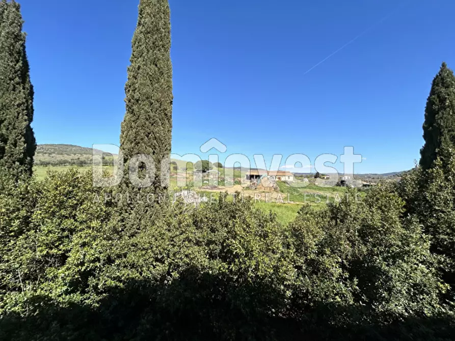 Immagine 32 di Rustico / casale in vendita  in Sp Val Marina a Capalbio