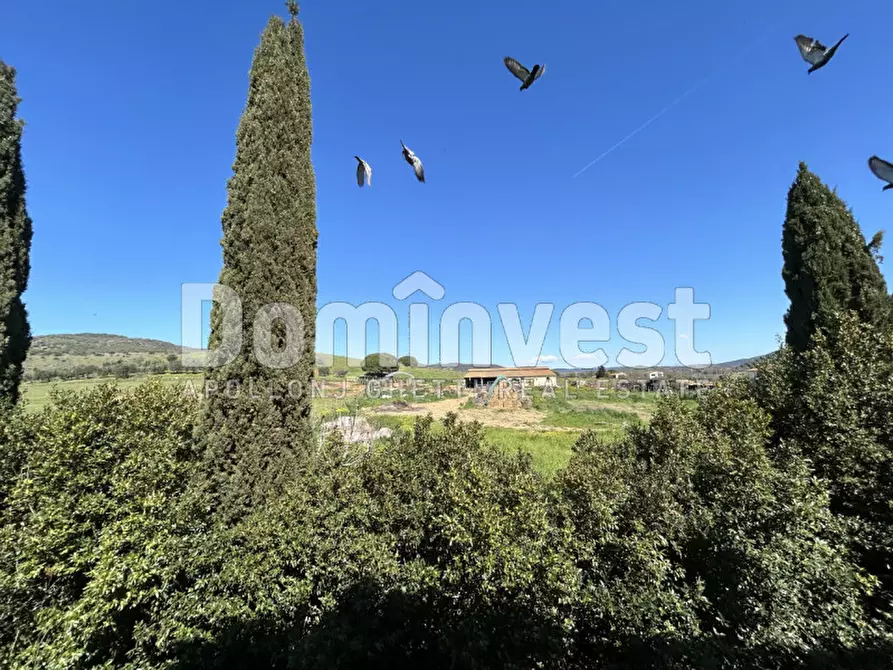 Immagine 33 di Rustico / casale in vendita  in Sp Val Marina a Capalbio