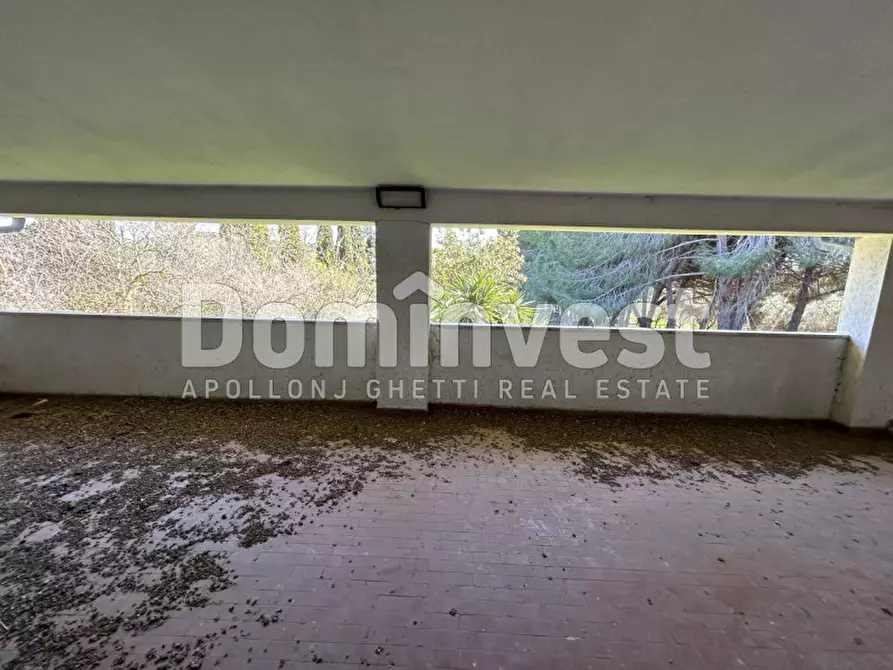 Immagine 38 di Rustico / casale in vendita  in Sp Val Marina a Capalbio