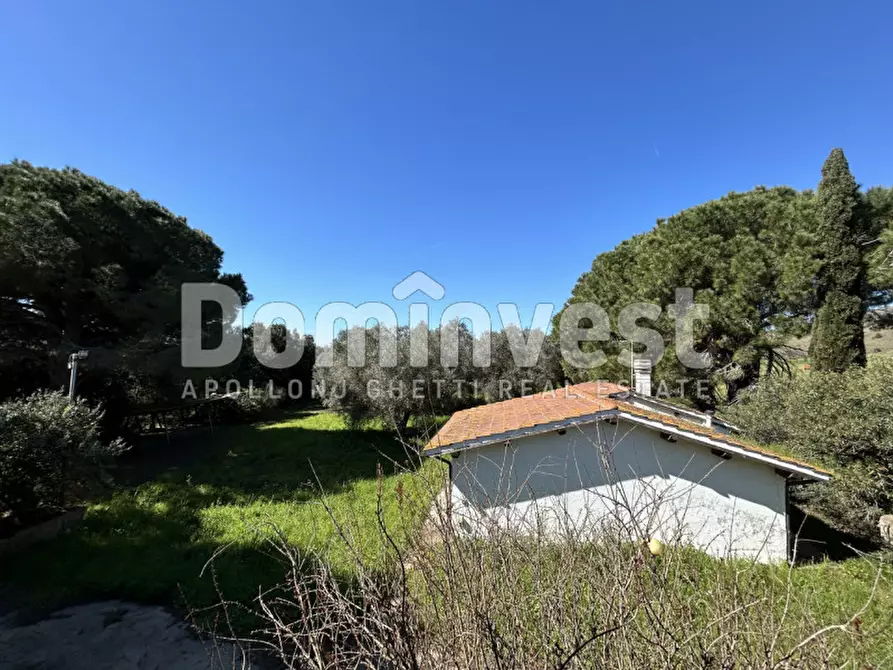 Immagine 39 di Rustico / casale in vendita  in Sp Val Marina a Capalbio