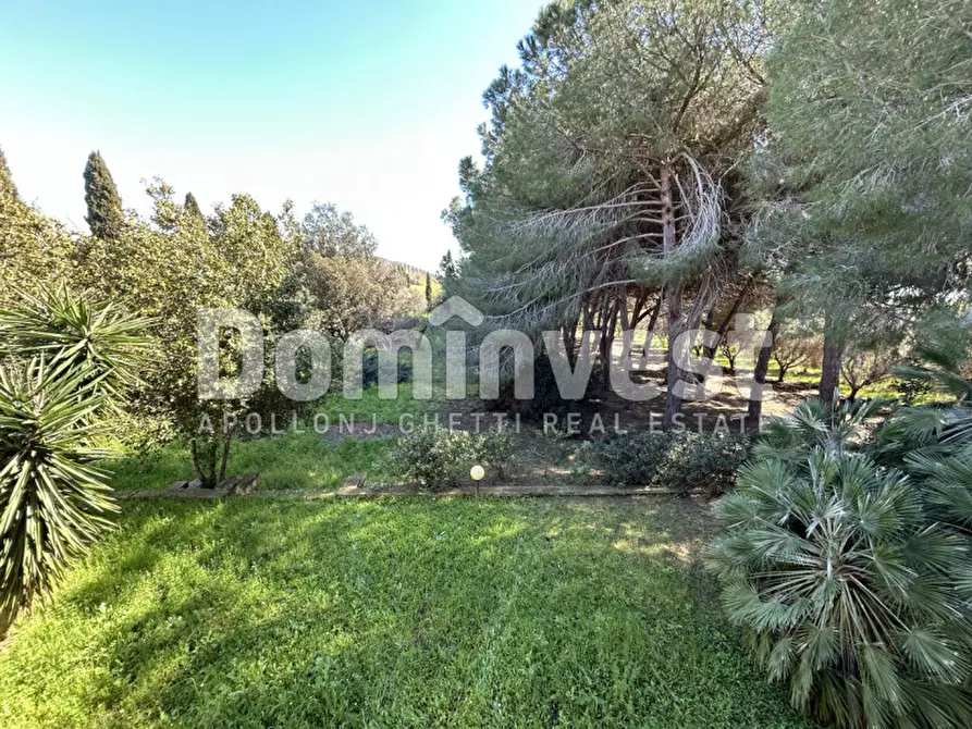 Immagine 40 di Rustico / casale in vendita  in Sp Val Marina a Capalbio