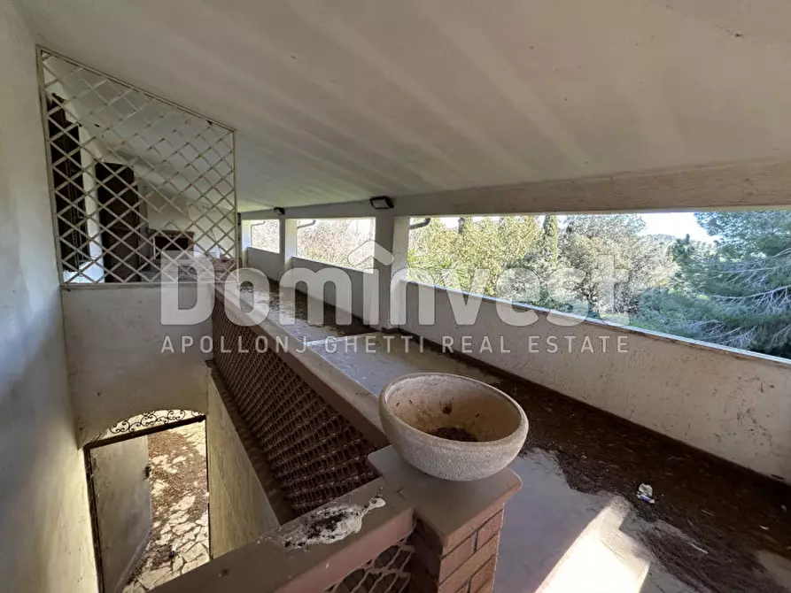 Immagine 41 di Rustico / casale in vendita  in Sp Val Marina a Capalbio