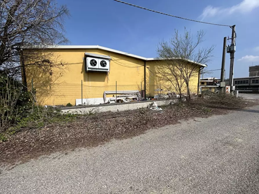 Immagine 4 di Laboratorio in vendita  in Località Tre Ponti 10 a San Paolo