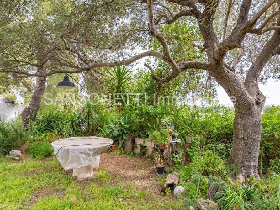 Immagine 41 di Rustico / casale in vendita  in MASSERIOLA a Fasano