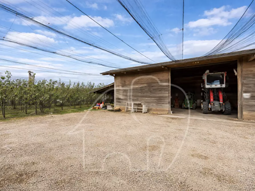 Immagine 3 di Attività commerciale in vendita  a Castions Di Strada