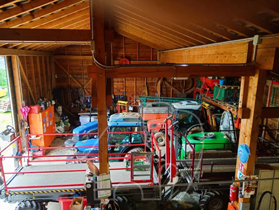 Immagine 6 di Attività commerciale in vendita  a Castions Di Strada