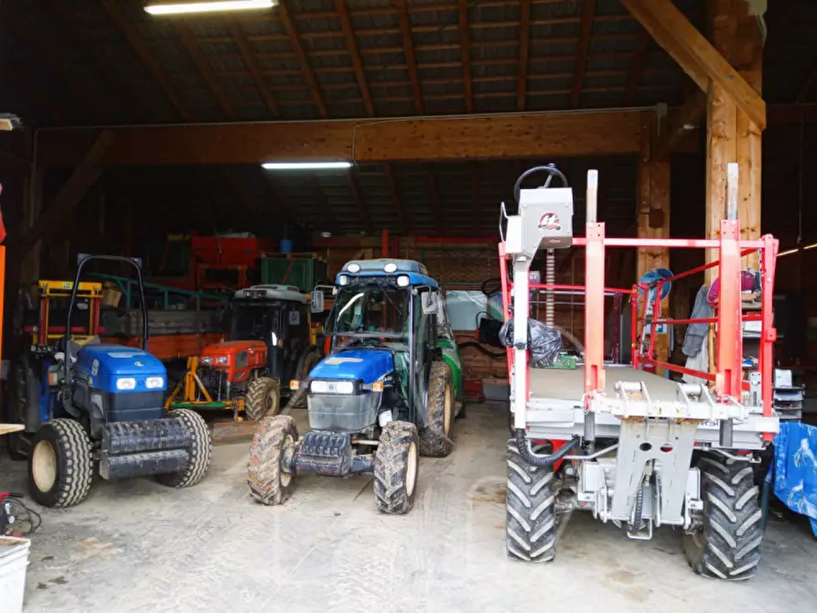 Immagine 7 di Attività commerciale in vendita  a Castions Di Strada