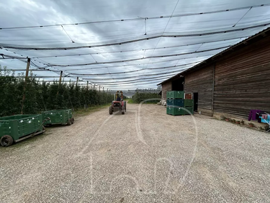 Immagine 8 di Attività commerciale in vendita  a Castions Di Strada