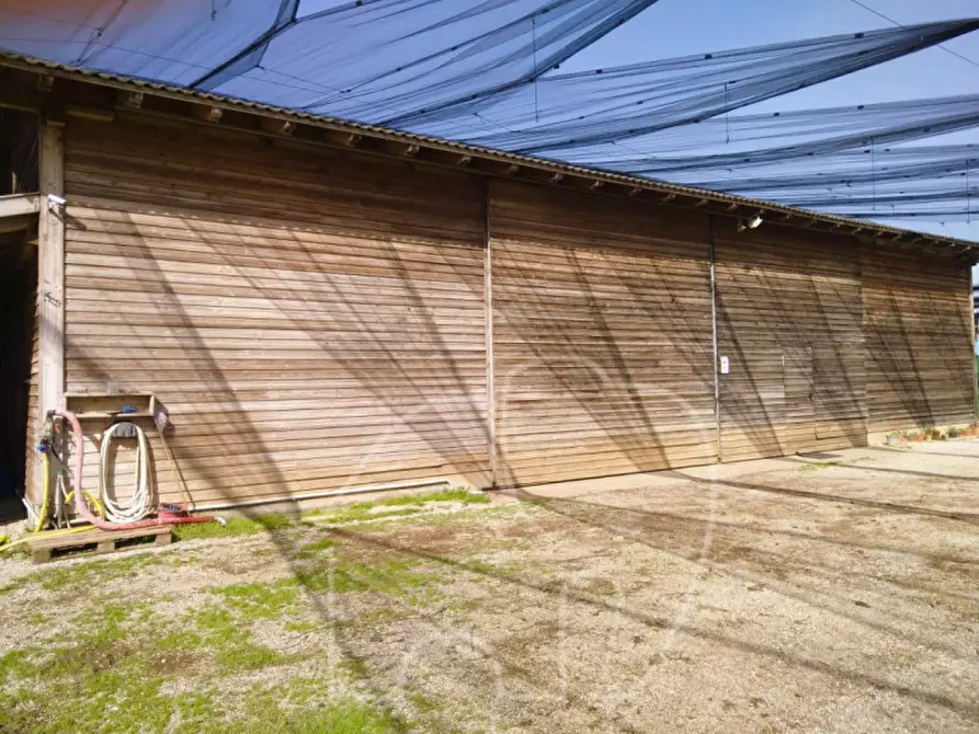 Immagine 11 di Attività commerciale in vendita  a Castions Di Strada