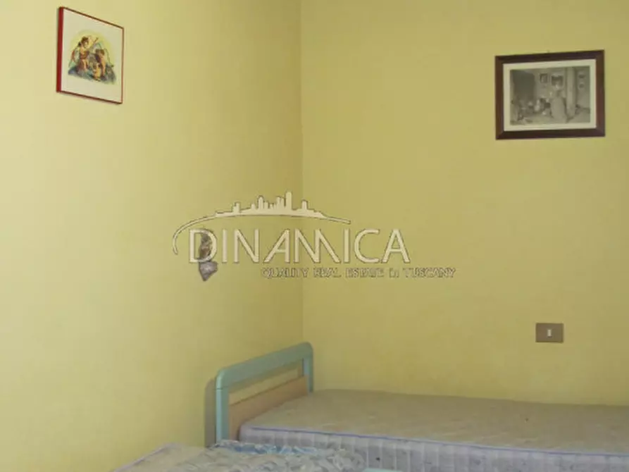 Immagine 29 di Rustico / casale in vendita  a Palaia