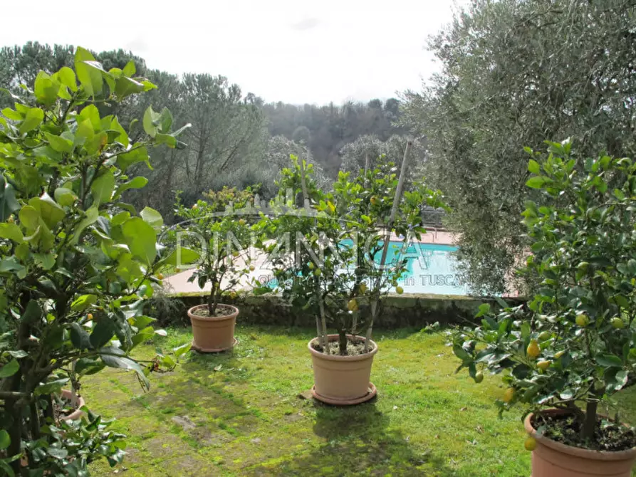 Immagine 31 di Rustico / casale in vendita  a Palaia