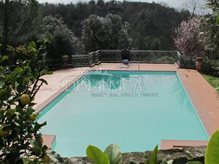 Immagine 32 di Rustico / casale in vendita  a Palaia