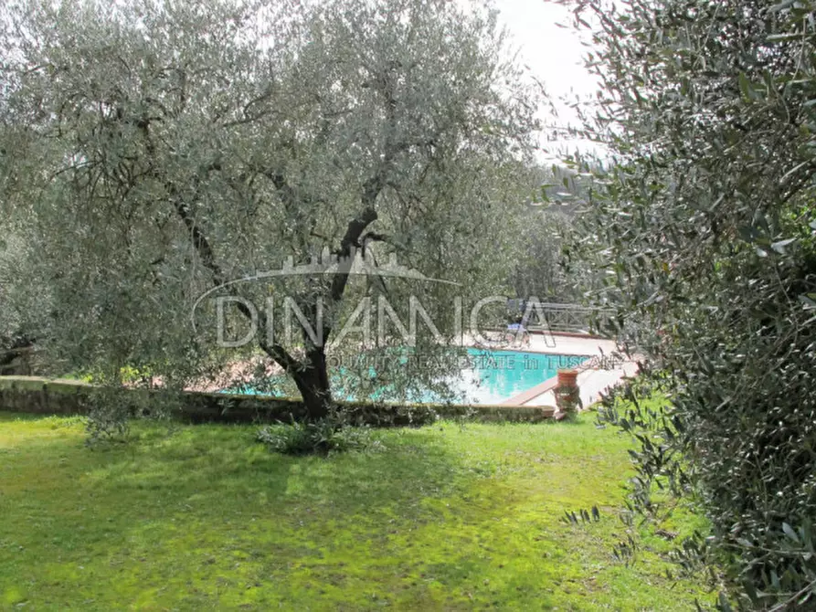 Immagine 33 di Rustico / casale in vendita  a Palaia