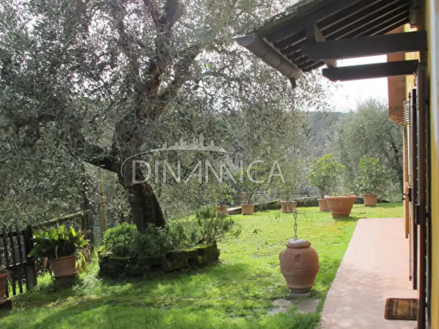 Immagine 38 di Rustico / casale in vendita  a Palaia