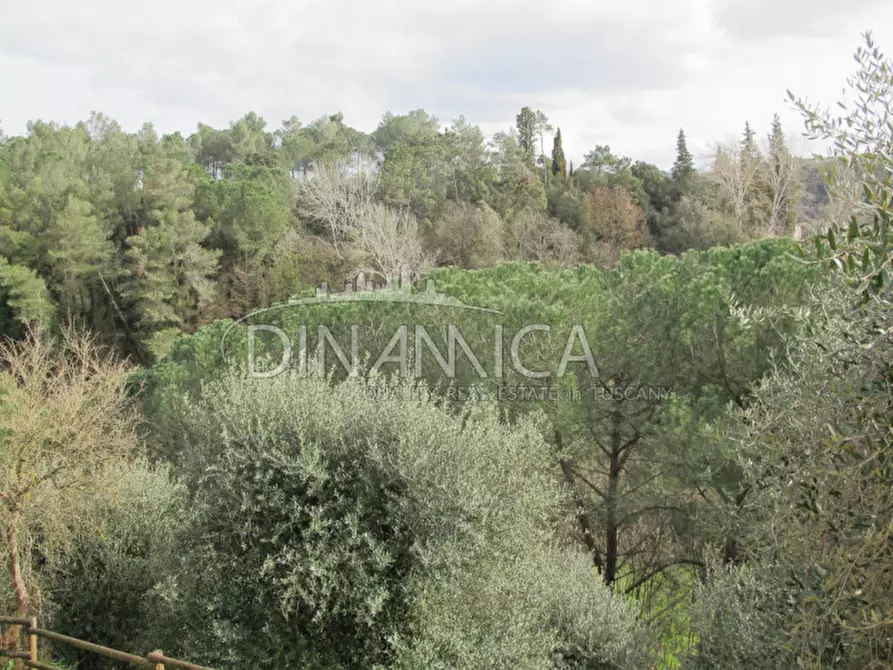 Immagine 40 di Rustico / casale in vendita  a Palaia