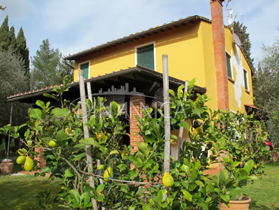 Immagine 45 di Rustico / casale in vendita  a Palaia