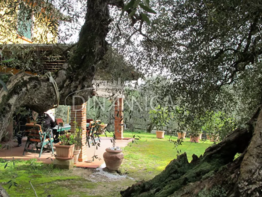 Immagine 46 di Rustico / casale in vendita  a Palaia