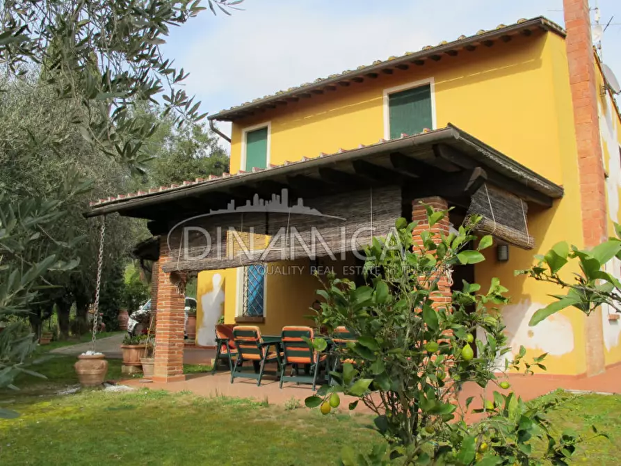 Immagine 49 di Rustico / casale in vendita  a Palaia