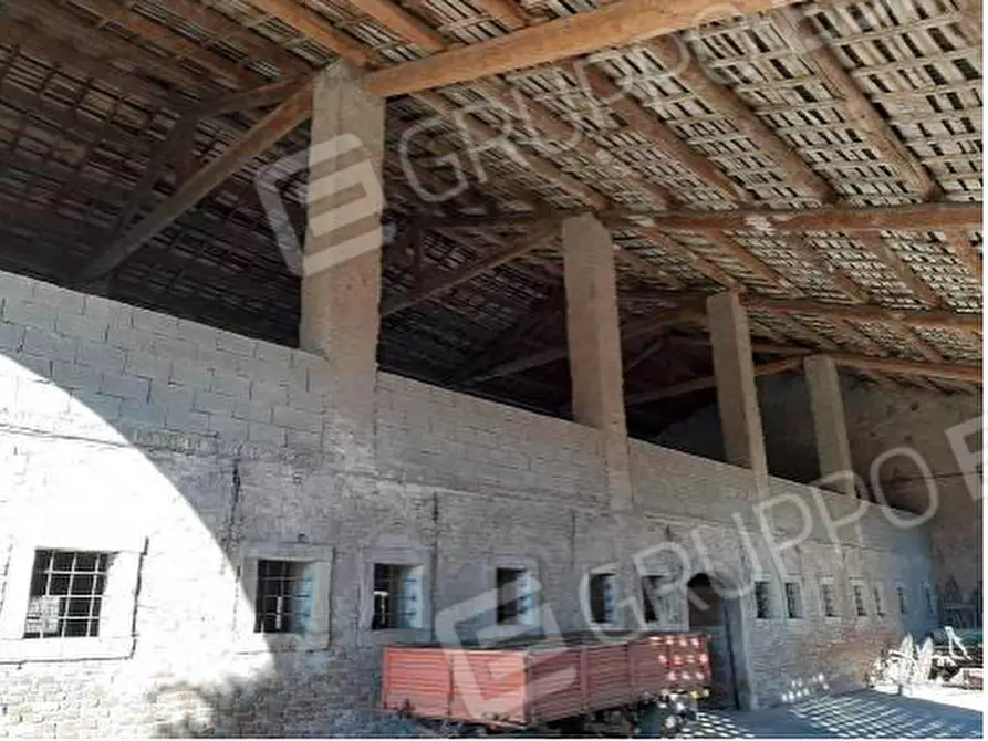 Immagine 7 di Rustico / casale in vendita  in VIA LEGNAGO SNC a Palu'