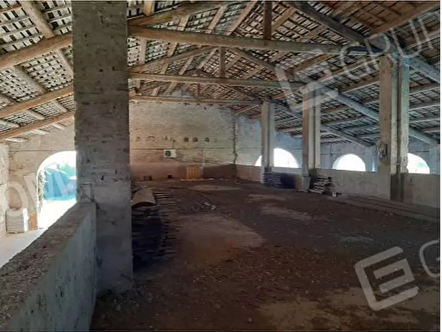 Immagine 8 di Rustico / casale in vendita  in VIA LEGNAGO SNC a Palu'