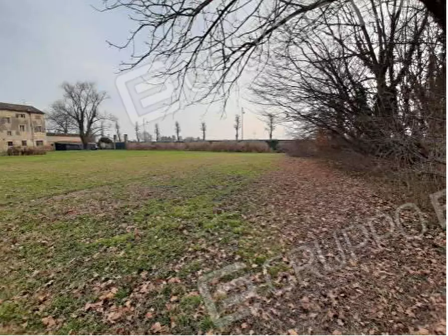 Immagine 15 di Rustico / casale in vendita  in VIA LEGNAGO SNC a Palu'