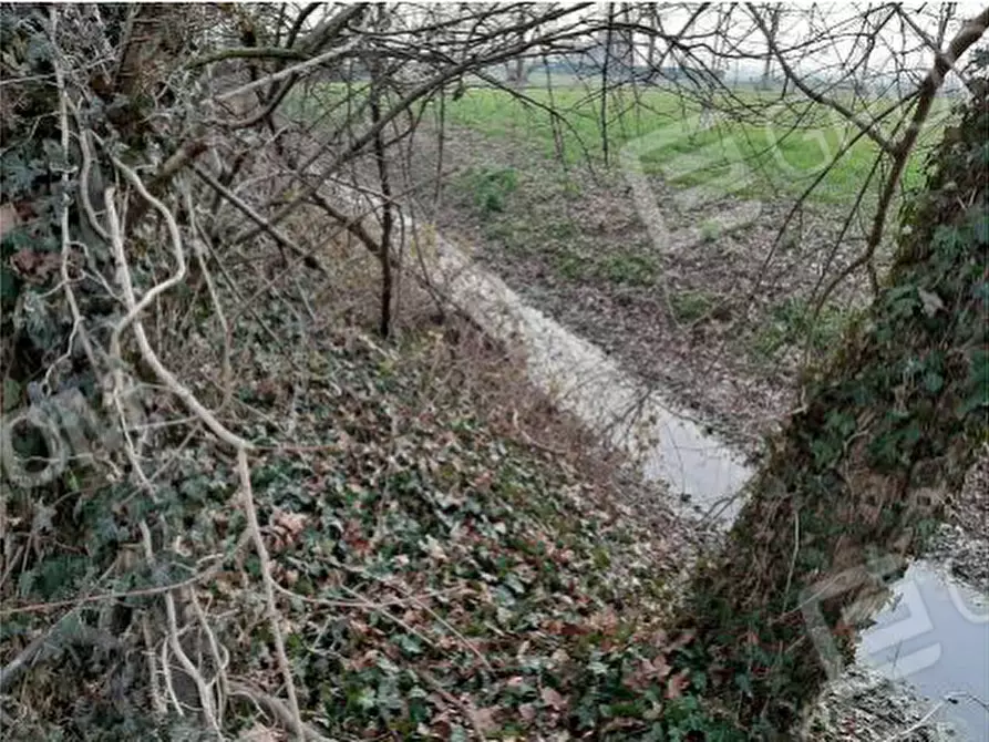 Immagine 16 di Rustico / casale in vendita  in VIA LEGNAGO SNC a Palu'