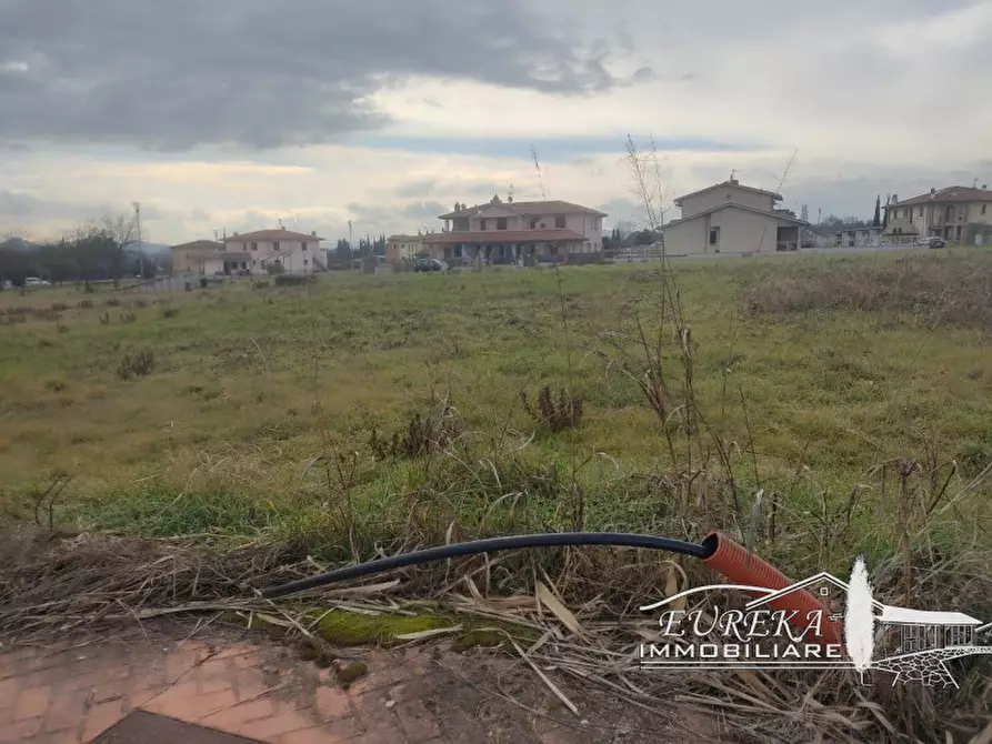 Immagine 4 di Terreno in vendita  in via roma 152 a Castiglione Del Lago