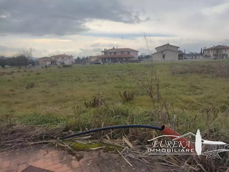 Immagine 5 di Terreno in vendita  in via roma 152 a Castiglione Del Lago
