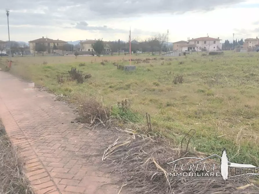 Immagine 6 di Terreno in vendita  in via roma 152 a Castiglione Del Lago