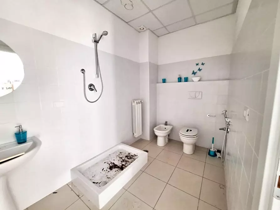 Immagine 6 di Magazzino in vendita  in Motta di sotto, N. snc a Campodolcino