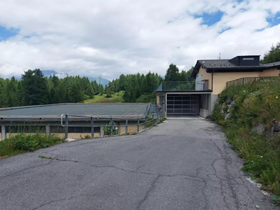 Immagine 7 di Magazzino in vendita  in Motta di sotto, N. snc a Campodolcino