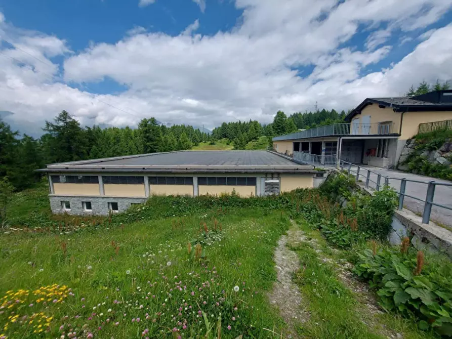 Immagine 8 di Magazzino in vendita  in Motta di sotto, N. snc a Campodolcino