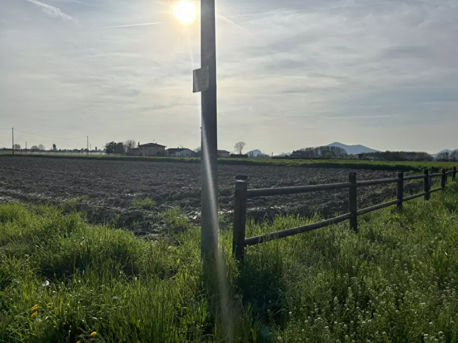 Immagine 1 di Terreno in vendita  in via reate a San Pietro Viminario