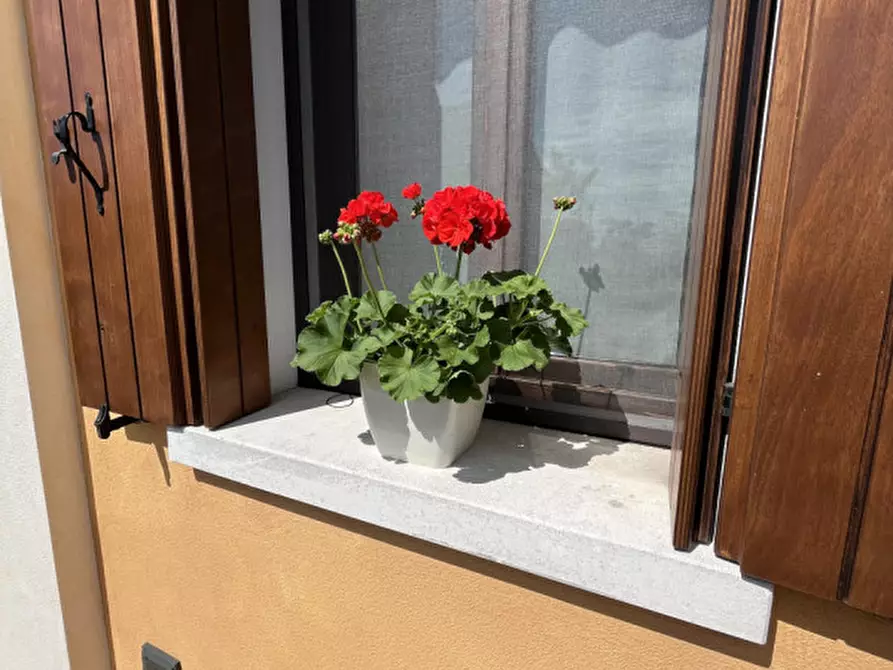 Immagine 27 di Casa indipendente in vendita  in via matteotti a Poiana Maggiore