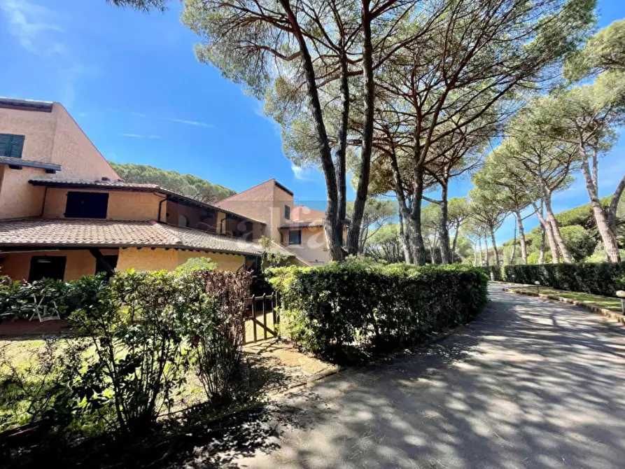 Immagine 1 di Appartamento in vendita  a Castiglione Della Pescaia