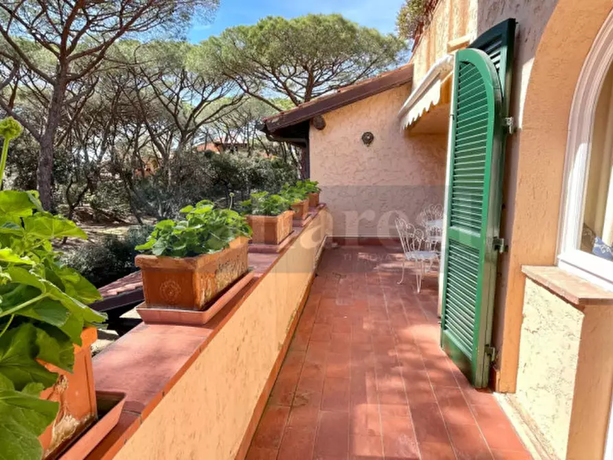 Immagine 4 di Appartamento in vendita  a Castiglione Della Pescaia